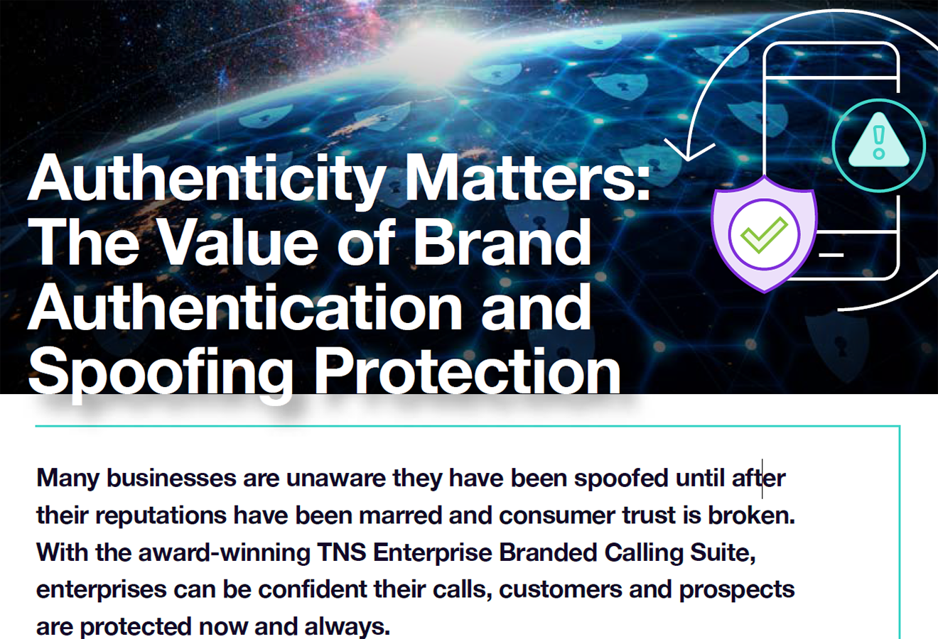 The Value of Brand Authentication and Spoofing Protection